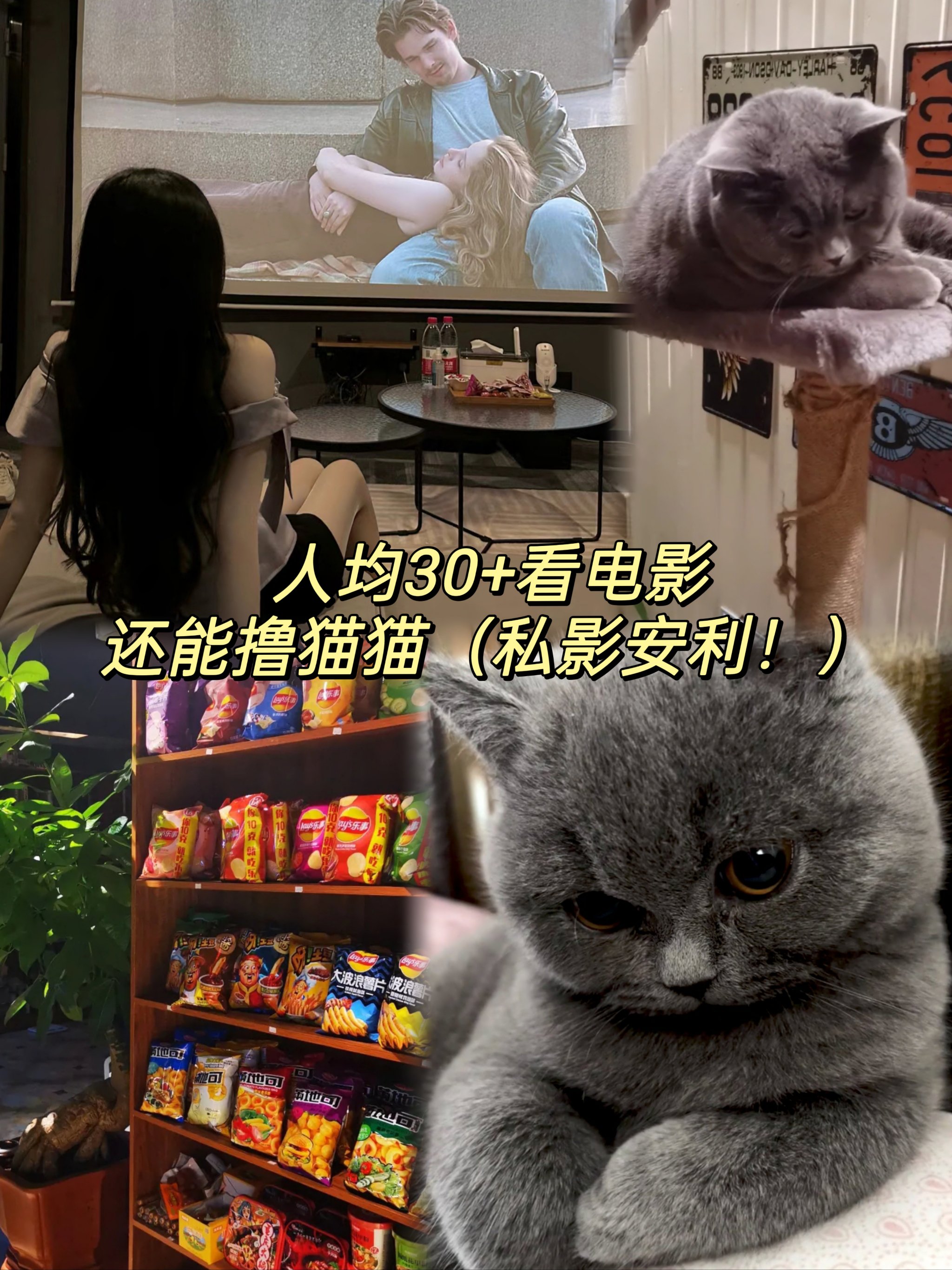 心动女友2:心动女友2025兑换码