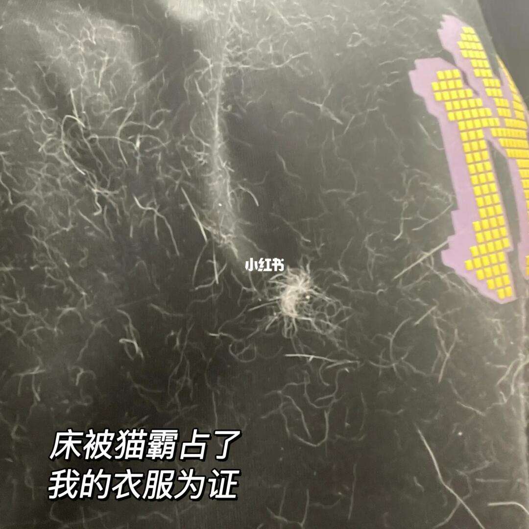 把你的手伸过来的套路! 我能把手伸到你的衣服吗什么意思:探究这句话背后的 