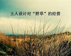 ! 野草乱码一二三四区别在哪:深度解析与探讨 