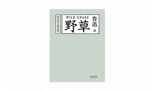 ! 野草乱码一二三四区别在哪:深度解析与探讨 