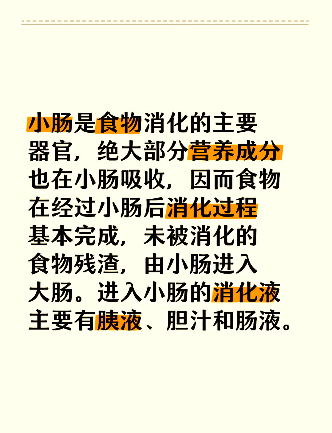 关于大洞小洞的介绍! 小洞需要大肉肠指什么之详细解析与深入探讨 