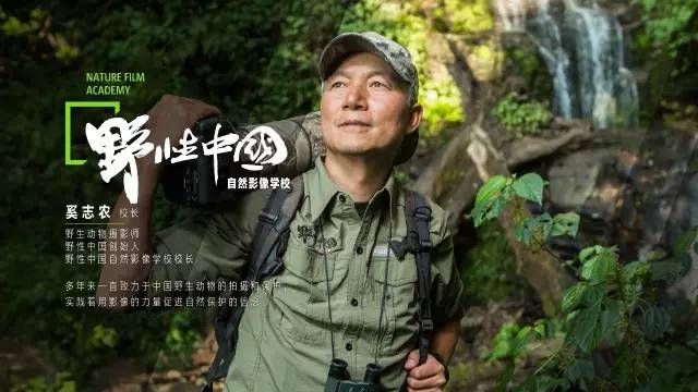 ! java农村野外妇女hd的别样生活故事 
