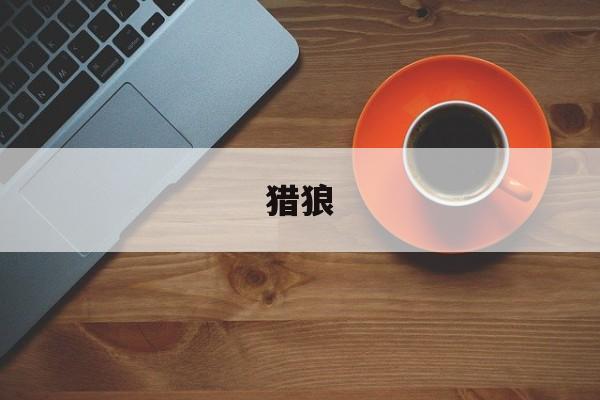 猎狼:猎狼刀电视剧36集在线观看免费